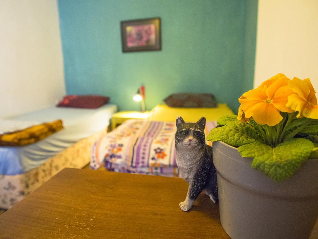 Shantihome Esmirna Quarto foto